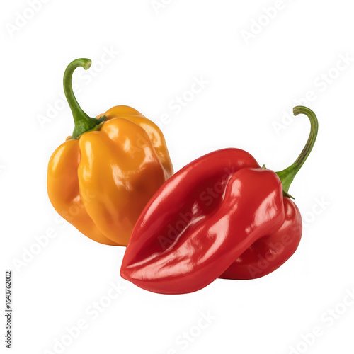  wo orange habanero peppers isolated on transparent and white background..