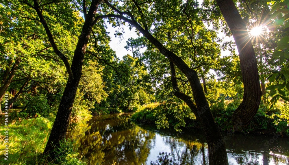 Fototapeta premium A peaceful stream of blue water reflects the summer sky among the lush forest trees and green plants