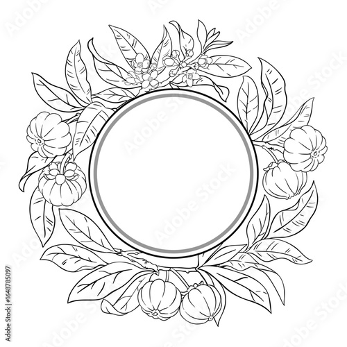 Garcinia Branch with Fruits and Leaves Outline Round Frame. Organic natural nutritional healthy food ingredient, vegetarian diet product. Vector isolated for design or decoration.