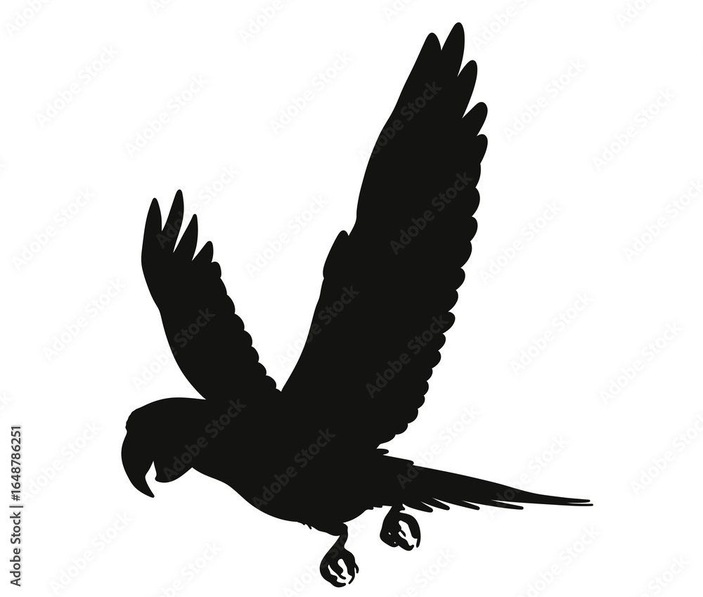 Fototapeta premium flying parrot silhouette white background vector illustration