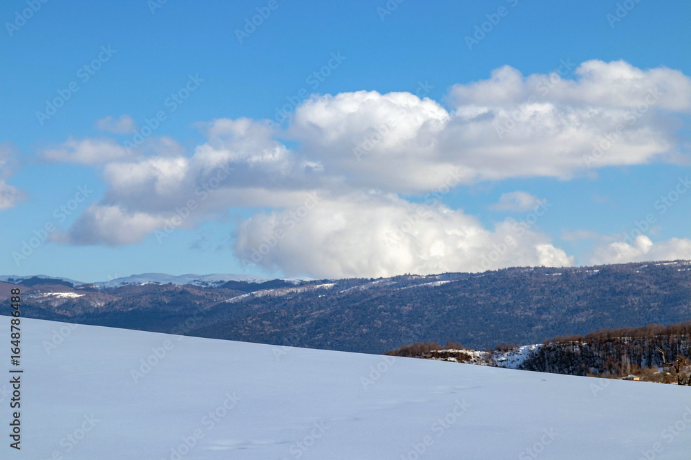 Obraz premium A field covered with white snow, a hill with winter trees in the background, blue sky and white clouds