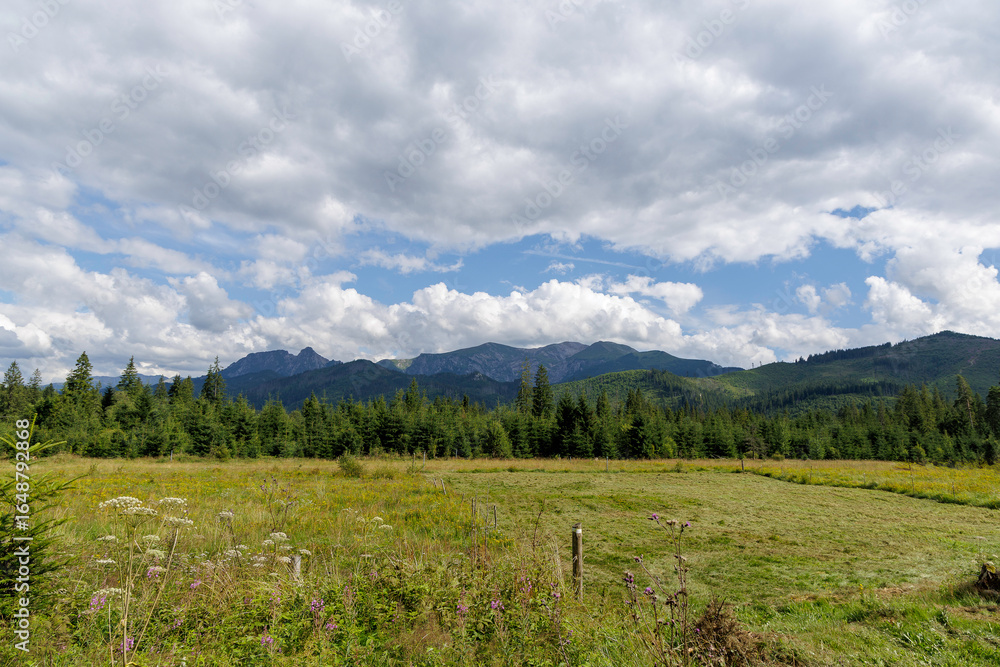 Obraz premium Peaceful Mountain Vista