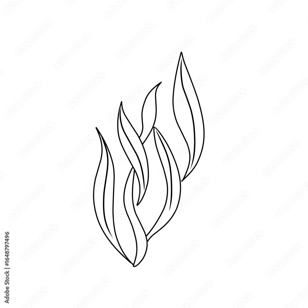 Naklejka premium seaweed outline