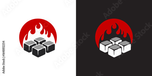 Flame of Charcoals briket . Burning Coals During Barbecue 