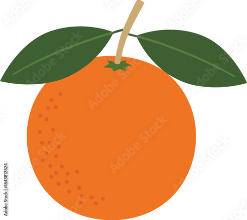 Fresh orange fruit with green leaves healthy food