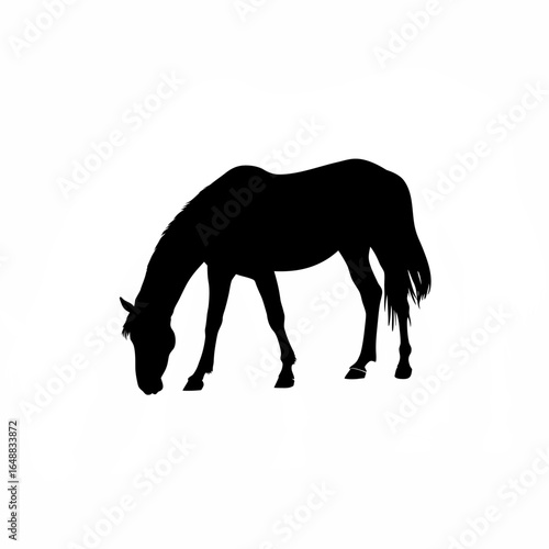 Silhouette of a horse sniffing the ground front view
