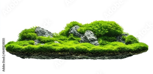 Lush green moss landscape with gray rocks