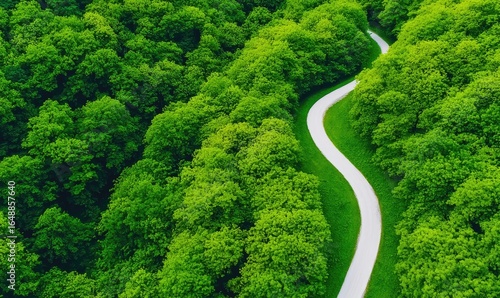 Winding path cuts through a dense, vibrant green forest. Trees form a canopy, creating a lush landscape. Aerial view shows the contrast between the white path and foliage