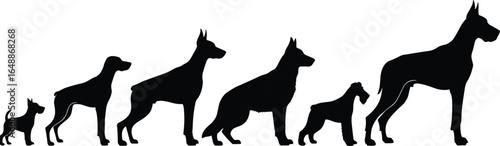 Dog growth stages silhouette, puppy to adult, pet development, canine evolution, animal size progression, domestic dog life cycle, isolated on white