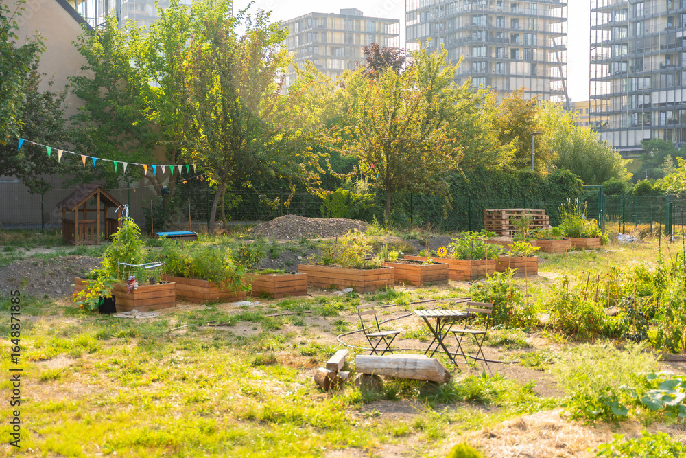 Obraz premium Urban community garden in Zizkov, Prague, Czech Republic. Sustainable green space with planting beds surrounded by modern apartment buildings in the heart of the city
