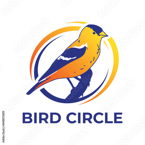bird logo vector