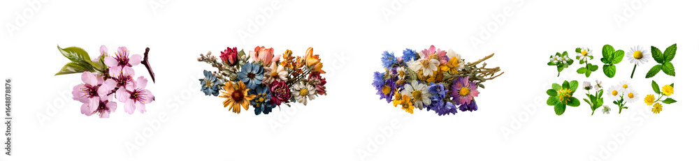 Collection of Pink Cherry Blossoms and Dried Floral Arrangements, cut out transparent Collection of Pink Cherry Blossoms and Dried Floral Arrangements, cut out transparent