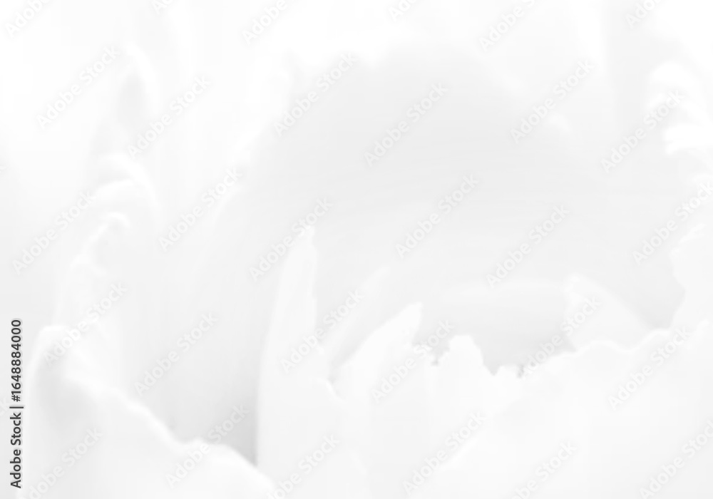 Obraz premium abstract white background
