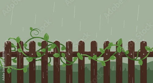 A tranquil rainy day scene with vines growing on a wooden fence, creating a peaceful and refreshing atmosphere