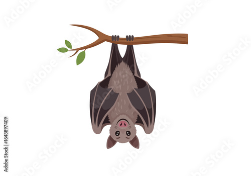 Bat hanging upside down from leafy tree branch suitable for halloweenthemed designs, childrens illustrations, or spooky content.