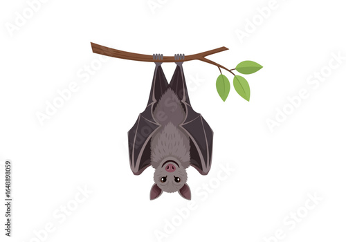 Bat hanging upside down on a tree branch. Suitable for halloween designs, spooky themed content, nature publications, educational materials, and wildlife blogs.