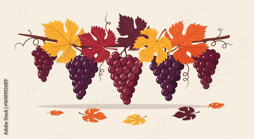 Autumnal Grape Harvest Illustration With Colorful Foliage And Vine Decoration