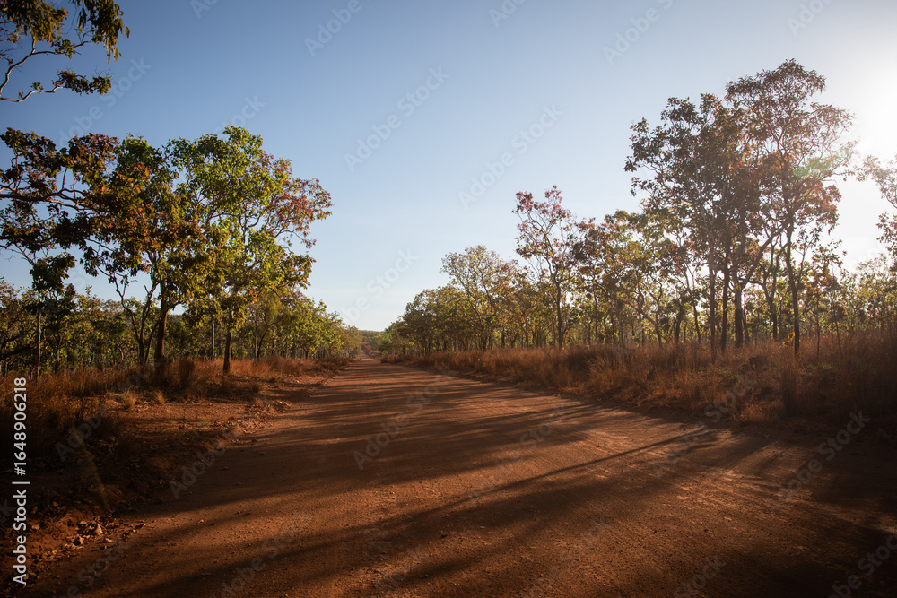 Fototapeta premium red dirt road outback bush desert