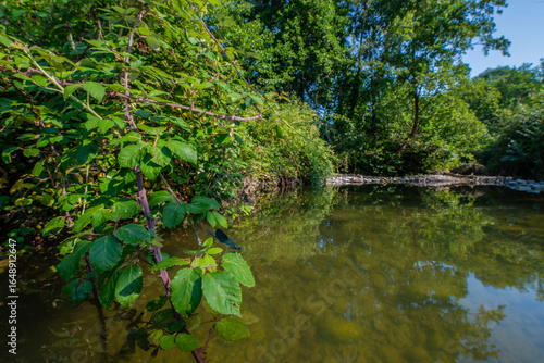 Bild auf Leinwand Adda (river)
