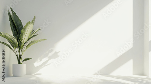A large, soft, unsharp light glow against a clean white background.