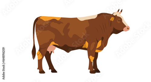 Brown and white cow on white background in flat style