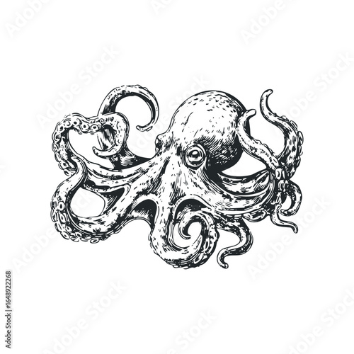 Detailed Ink Drawing of an Octopus with Multiple Tentacles