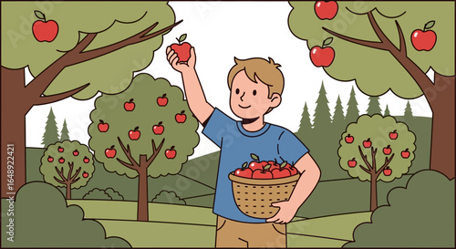 Boy Picking Ripe Apples In Orchard During Autumn Harvest Season Illustration