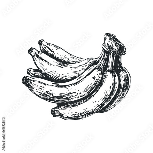 Sketch of a bunch of bananas with textured brush strokes