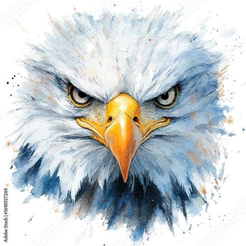 Bald Eagle, watercolor illustration vector, isolated on a white background.
