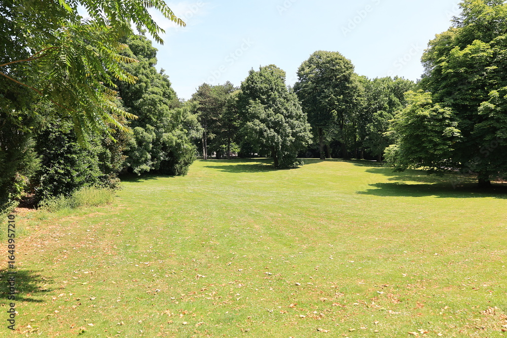 Fototapeta premium Blick in den Stadtpark der Stadt Bochum im Ruhrgebiet