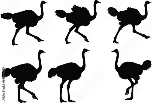 Ostrich silhouettes in various walking and running poses, showcasing the powerful and graceful movements of these large birds.