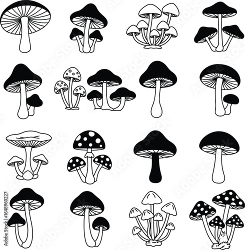 Black and white mushroom line art vector illustration for coloring book, nature print, seamless pattern, and various decoration

.