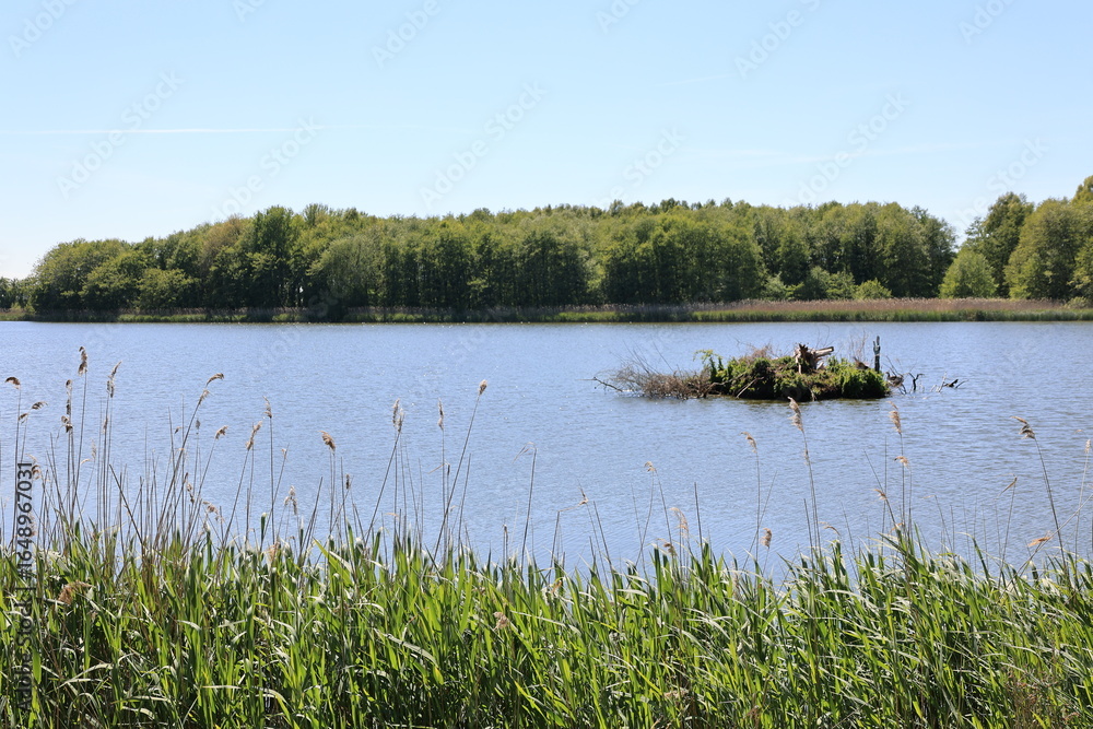 Fototapeta premium Impressionen aus Kölpinsee, einem Ortsteil der Gemeinde Loddin auf der Insel Usedom
