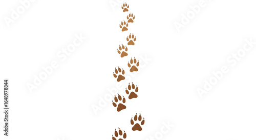 Following Paw Prints Vector Trail, Animal Tracks Leading the Way Illustration