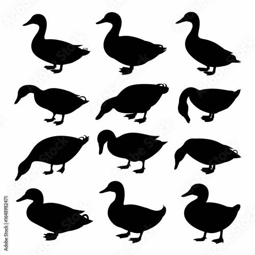 Collection of mallard duck silhouettes in various poses isolated on white background