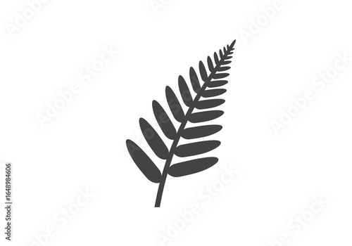 Stylized Fern Frond Silhouette with Rounded Leaflets.