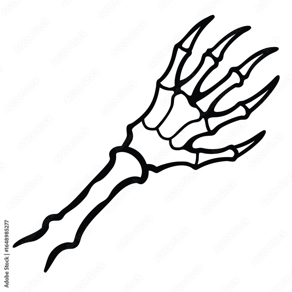 Fototapeta premium Black skeleton hand with sharp claws on white background