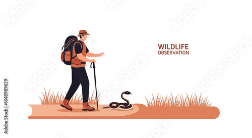 Hiker Encounters Snake On Trail In Wildlife Observation Adventure Journey
