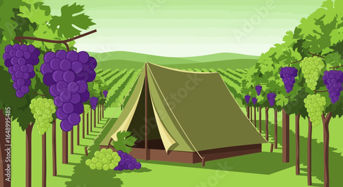 Idyllic Glamping Experience Amidst Lush Vineyards In The Countryside