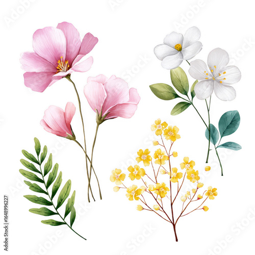 Wallpaper Mural Blossom Watercolor Collection: A vibrant assortment of delicate blooms, captured with a watercolor style, including a beautiful array of flowers, leaf stems, adding a splash of nature's beauty. Torontodigital.ca