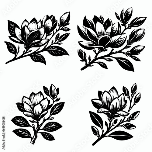 Magnolia branch bloom. Retro Vintage Line Art Clipart Silhouette Vector Illustration. Flowering limbs of magnolia a springtime floral display on tree bough.