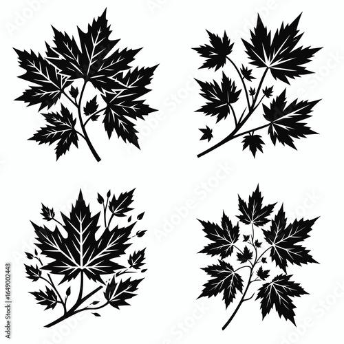 Maple branch twig. Retro Vintage Line Art Clipart Silhouette Vector Illustration. Acer limb sprig nature stem portion from tree tiny wood piece plant part.