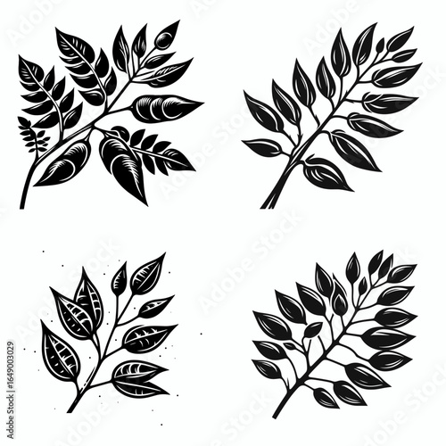 Seed pod branch. Retro Vintage Line Art Clipart Silhouette Vector Illustration. Plant source sprout stem part of flora natural object botanical element.