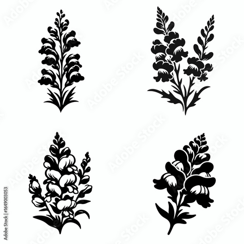 Snapdragon flower. Retro Vintage Line Art Clipart Silhouette Vector Illustration. Bloom from antirrhinum genus colorful garden flora herbaceous perennial.