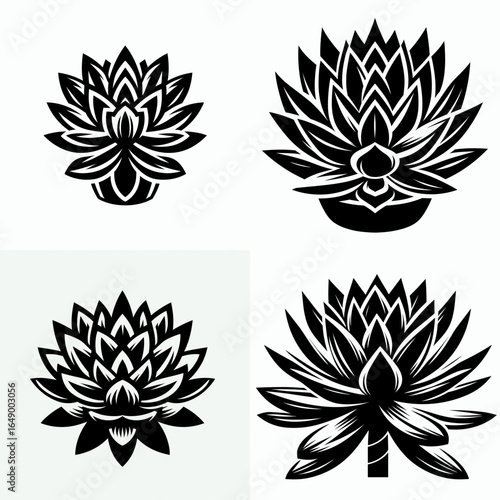 Succulent plant. Retro Vintage Line Art Clipart Silhouette Vector Illustration. Fleshy flora an easy guide to growing nurturing and enjoying drought tolerant botany.