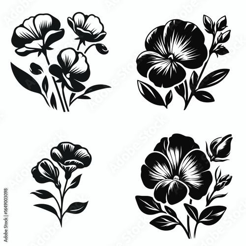 Sweet pea flower. Retro Vintage Line Art Clipart Silhouette Vector Illustration. Lovely lathyrus blossom a fragrant vibrant bloom for your garden space.