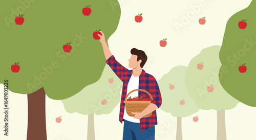 Man Harvesting Fresh Apples In Orchard During Autumn Season Activity