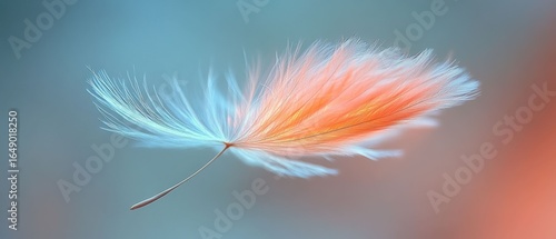 A Delicate Peach and Blue Feather in Flight:  A Macro Photography Study of Airy Grace and Subtle Beauty