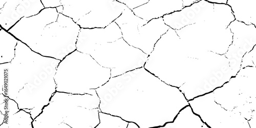 Black and white cracked ground pattern, showcasing dry, broken surface lines with high contrast, ideal for distressed textures, vintage effects, or abstract graphic backgrounds.