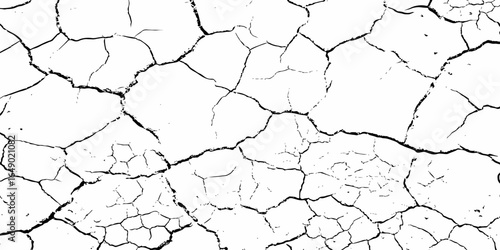 Detailed cracked earth texture with bold black fracture lines on a white background, perfect for grunge designs, backgrounds, weathered surfaces, or geological concept illustrations.